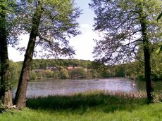 Buckow Märkische.-Schweiz 06.jpg